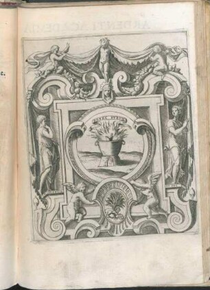 [Ardenti Academia In Viterbo]