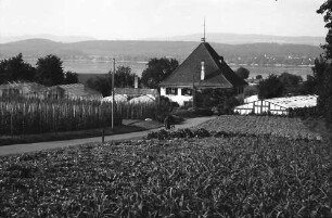 Mittelzell: Gemüsegarten und Haus von der Höhe