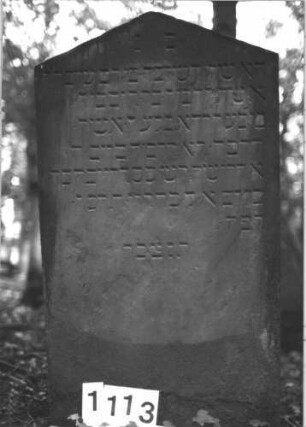 Grabstein 1113 (Index: 99899788) Material: Sandstein Zustand: angewittert Maße HxBxT: 108x60x8 cm Beschreibung: Stele mit Dreiecksabschluss: Grabstein 1113
