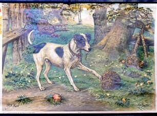 Schulwandbild Hund und Igel