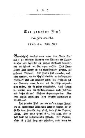 ¬Der¬ gemeine Fink : fringilla coelebs ; (Taf. XI, Fig. 58)