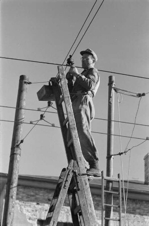 Energieversorgung. Arbeiten an einer Oberleitung. Ansicht mit einem Arbeiter, auf einer Leiter an den Leitungen arbeitend