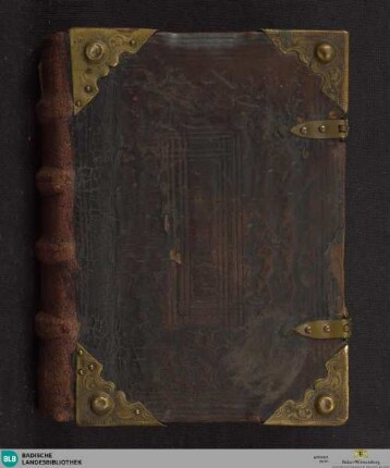 Psalterium - Capitula - Cod. Wonnenthal 3