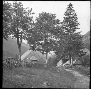 Auf dem Weg zum Feldberg