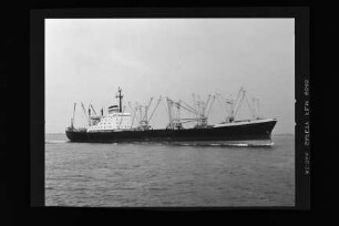 Hammonia (1965), Hapag.- Hamburg-Amerikanische Packetfahrt-Actien-Gesellschaft, Hamburg, Hapag-Lloyd AG, Hamburg