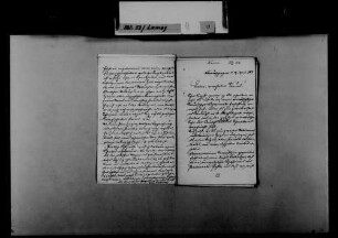Schreiben von Ludwig Kirsner, Donaueschingen, an August Lamey: Kandidatur Lameys für den badischen Landtag.