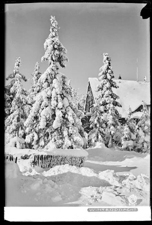 Zinnwald-Georgenfeld mit Schnee, Winterpracht