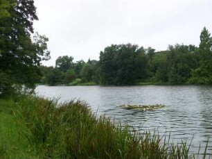 Wörlitz: Wörlitzer Park