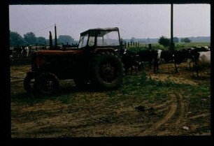 LPG bei Golm 6.6.79.
