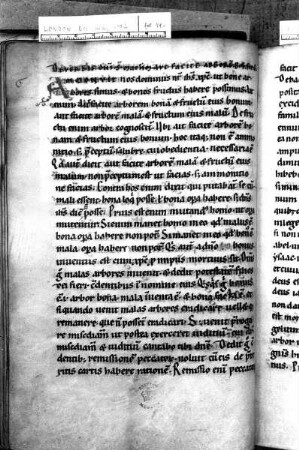 Buchseite, Folio 14 verso
