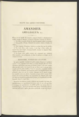 Amandier. Amygdalus. Lin.