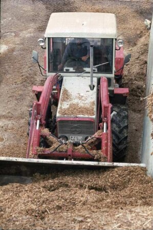 Fotografie: Silageentnahme, Maissilage, Frontlader, Flachsilo