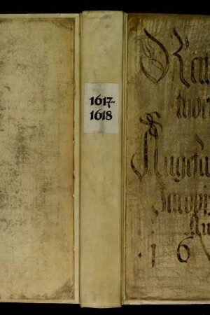 Ratsprotokolle, 1617 Juli 29. - 1618 Juli 23.