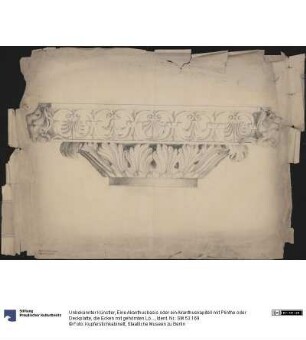 Eine Akanthusbasis oder ein Akanthuskapitell mit Plinthe oder Deckplatte, die Ecken mit gehörnten Löwenprotomen geschmückt