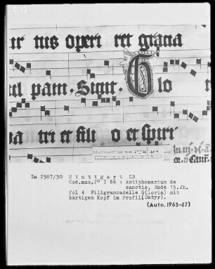 Antiphonarium de Sanctis (Dominikanerinnenhandschrift) — Initiale G (loria), darin bärtiger Kopf im Profil, Folio 4recto