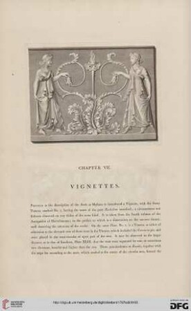 Chapter VII: Vignettes