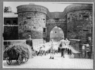 Durchs Stadttor in Büdingen & Am Untertor in Büdingen : Deutschland. Büdingen. Schafherde wird durch das Untertor (im Volksmund Jerusalemer Tor genannt) getrieben