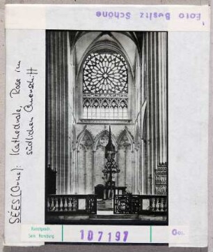 Seés: Kathedrale, Rose im südlichen Querschiff