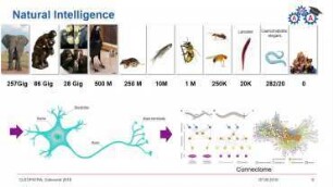 Introduction to Machine Learning