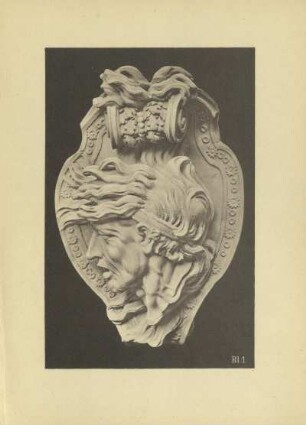 Abbildungen Bl.1 bis Bl. 24