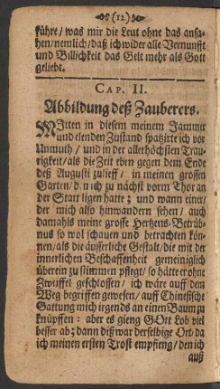 Cap. II. Abbildung deß Zauberers.