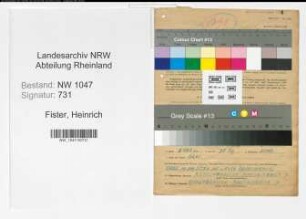 Entnazifizierung Heinrich Fister , geb. 28.11.1892 (Maler)