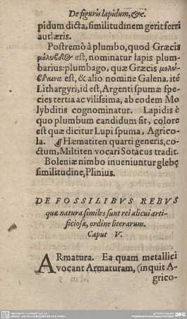 DE FOSSILIBUS REBUS quae natura similes sunt rei alicui artificiosae, ordine literarum. Caput V.
