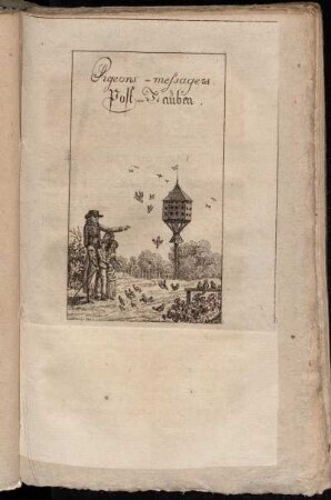 Pigeons-messagers. = Post-Tauben.