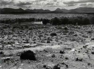 Karge Landschaft südlich von Granada