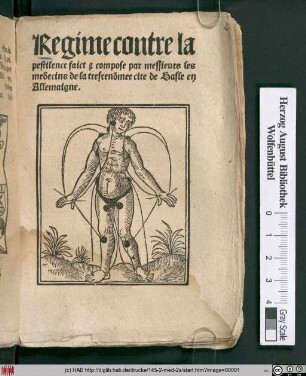 Regime contre la pestilence