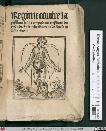 Regime contre la pestilence