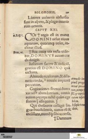 Caput XXI-XXXI