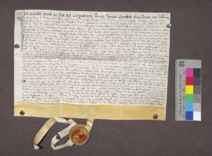 Schuldverschreibung des Simon Rorer in Ehrenstetten gegenüber dem Kaplan Johann Michael Egling in Kirchhofen.