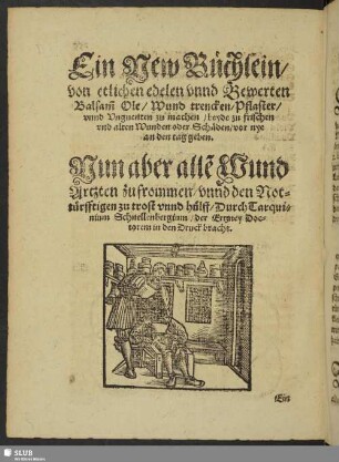 Ein New Büchlein, von etlichen edelen unnd Bewerten Balsam[m] Ole, Wund trencken, Pflaster, unnd Unguenten zu machen, beyde zu frischen und alten Wunden oder Schäden, vor nye an den tag geben ...