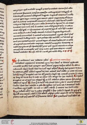 [Arnulfus de Boeriis:] Speculum monachorum