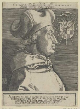 Bildnis des Albertvs Brandenbvrgensis
