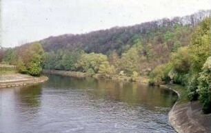 Marbach, Altarm vom Wehrsteg, flussabwärts