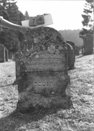 Grabstein 74 (Index: 100008879) Zustand: obere Hälfte und linker Rand abgebröckelt Maße HxBxT: 99x58x9 cm: Grabstein 74