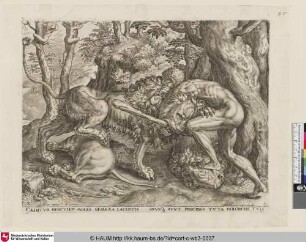 [Herakles erstickt den Nemeischen Löwen mit bloßen Händen; Hercules slays the Nemean lion; Hercule et le lion de Nemee]