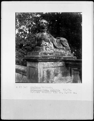 Sphinx