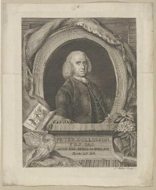 Bildnis des Peter Collinson