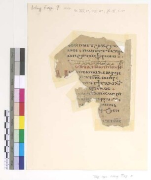 Ps. XXII, 5-; Ps. CIII, 15- to end of the verse; Jh. VI, 1-3