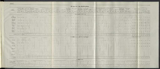 Anlage 3. Auszug aus dem Schiffsregister.