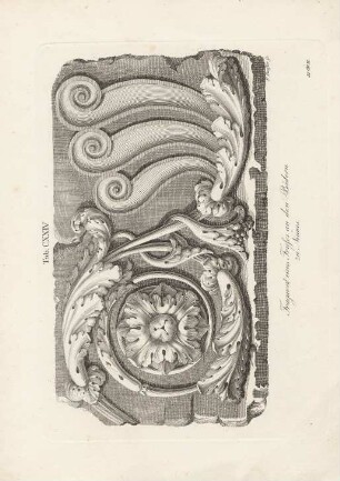 Tab. CXXIV.