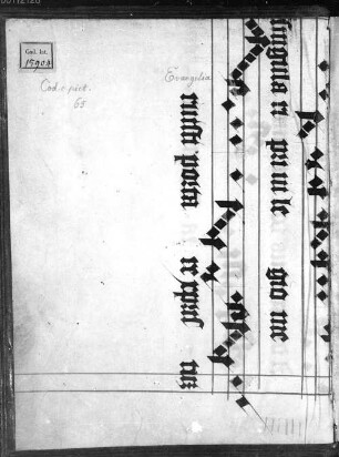 Evangelia quatuor, cum prologo Hieronymi, canonibus evangelistarum et divisione capitulorum - BSB Clm 15904