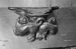 Zwei Hunde