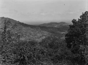 Hügellandschaft : Bewaldete Hügellandschaft in Tansania