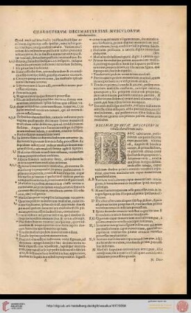 Decimaequartae musculorum tabulae characterum index
