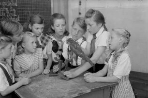 Reportage aus einer Schule in Berlin-Köpenick : Schüler vor Vogel-Präparaten
