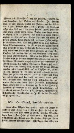 XV. Der Strauß, Struthio camelus.
